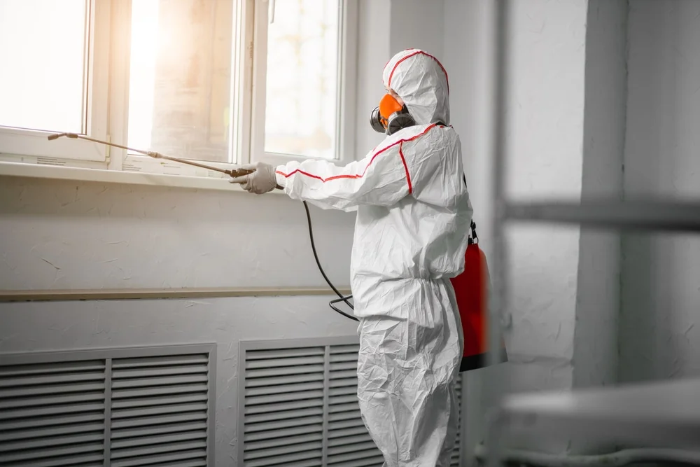 Professional mold remediation services in Hydetown, PA
